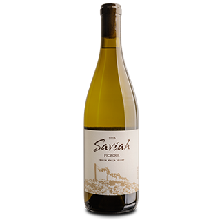 2025 Picpoul_web
